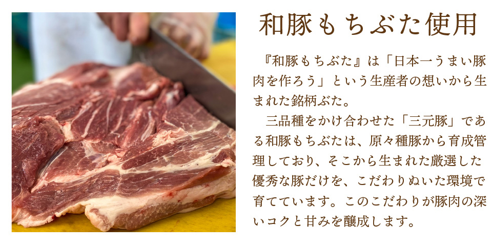 肉まんあんまん10個